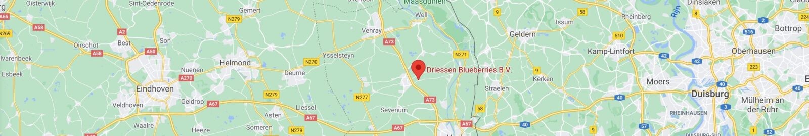 Contact Met Driessen Blueberries B.V. | Melderslo | Nederland